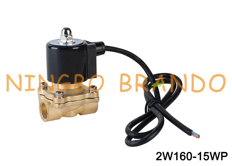 1/2 ''真鍮防水電磁弁音楽噴水 24V 110V 220V 用